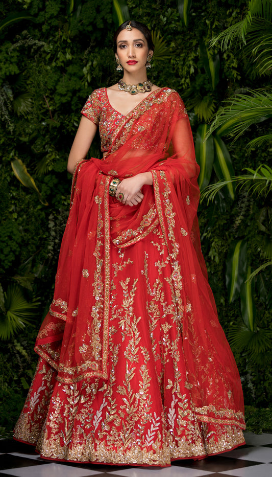 Crimson Red Tulle Lehenga with Embroidered Jaal