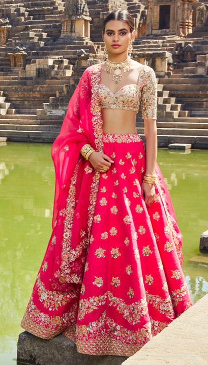 Magenta Panelled Lehenga