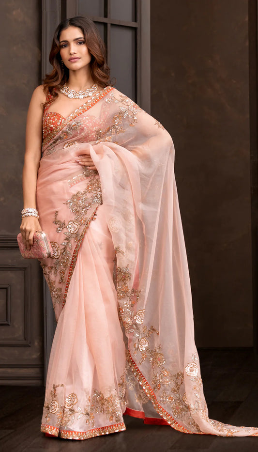 Organza Floating Border Saree