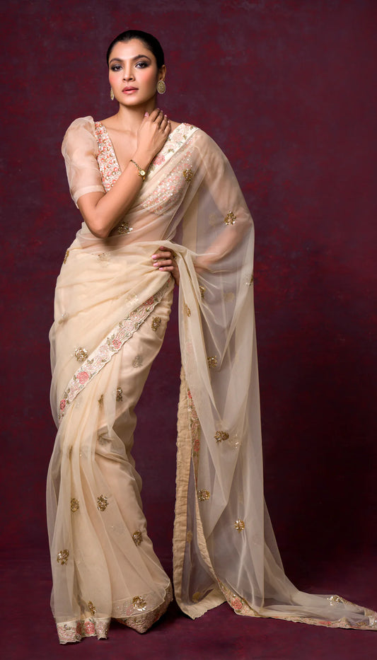 A Stunning Champagne Sheer Organza Saree