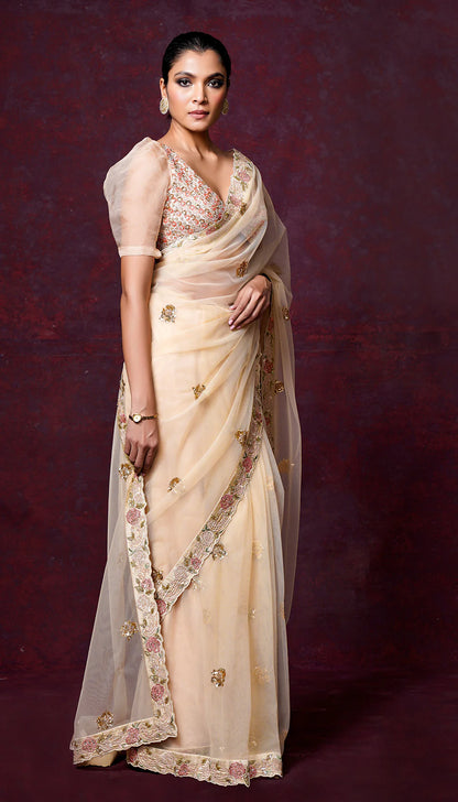 A Stunning Champagne Sheer Organza Saree