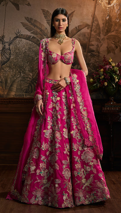 Rani Pink Organza Lehenga