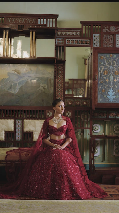 Red Net Tonal Lehenga